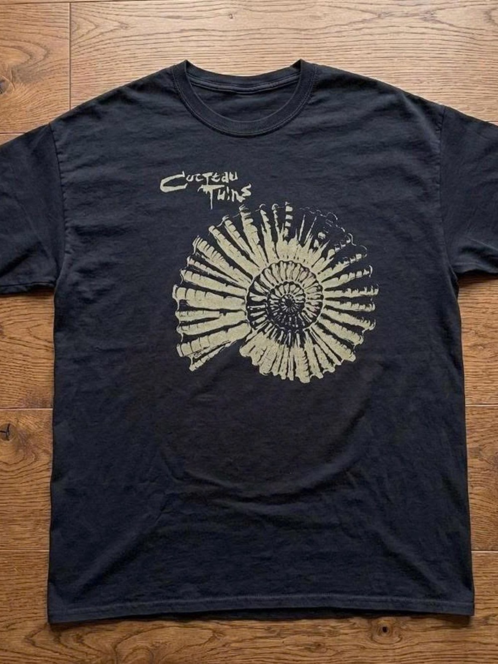 Black Graphic Tee with Pale Green Shell Print